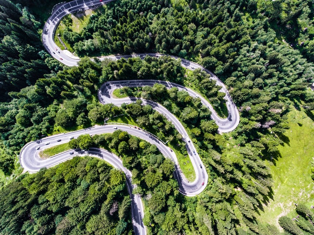 A winding road going up a hill in the middle of a forest.