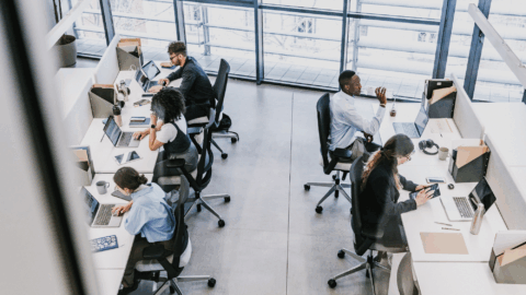 Lentini Visas | Immigration Services, Law Office of Jacqueline Lentini LLC | USCIS Ends Automatic EAD Extensions: What Employers and Workers Need to Know An open office space shows people working quietly at their desks. Natural light fills the room, giving it a calm and focused feel.