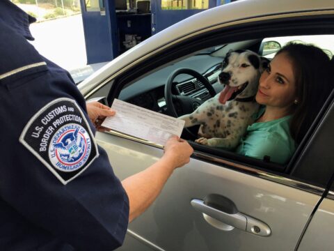 Mexican woman entering US with dog