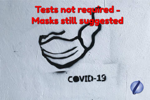 A spraypainted picture of a mask in black and "COVID-19" spray painted on a wall. Text above says, "Tests not required - Masks still required." The Lentini globe is in the bottom right-hand corner.